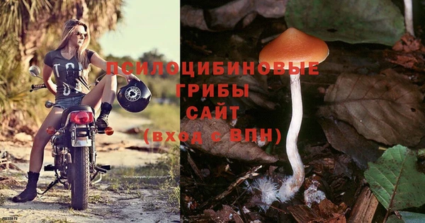 первитин Каменка