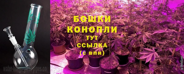 первитин Каменка