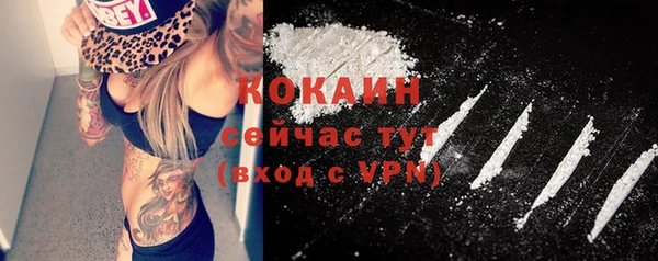 mdpv Каменногорск