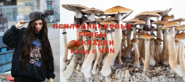 первитин Каменка