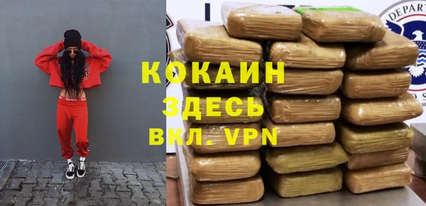 mdpv Каменногорск